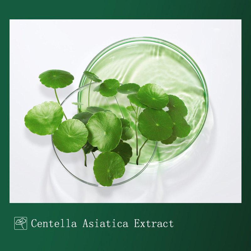 Centella Mud Mask, Anti-Acne,  - Dust Mask Construction avaliação e preço